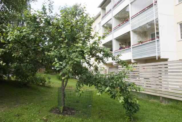 Rental Tampere Tohloppi 3 rooms