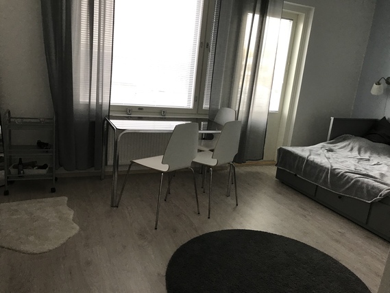 Rental Tampere Vuores 1 room