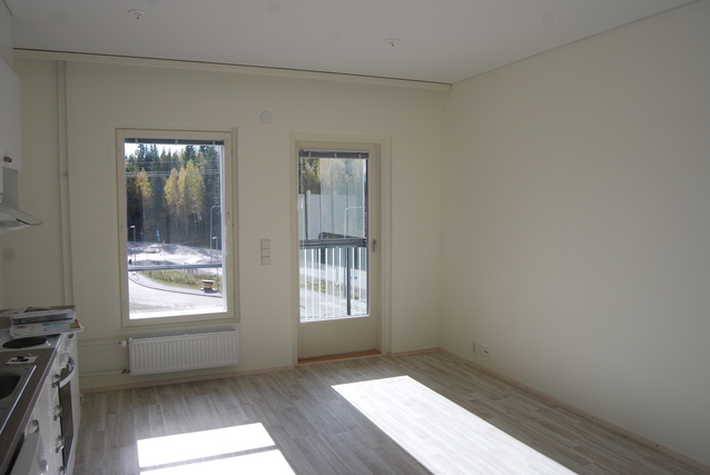 Rental Tampere Annala 1 room