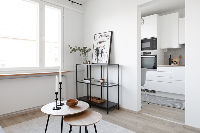 Rental Tampere Jussinkylä 1 room Olohuone