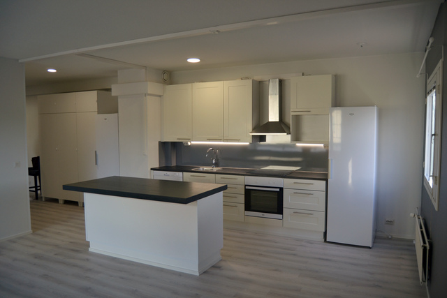 Rental Jämsä Länkipohja 3 rooms Keittiö-olohuone