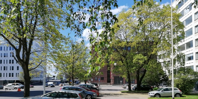 Vuokra-asunto Tampere Tammela Yksiö Pihamaa, kerrostalo oikealla.