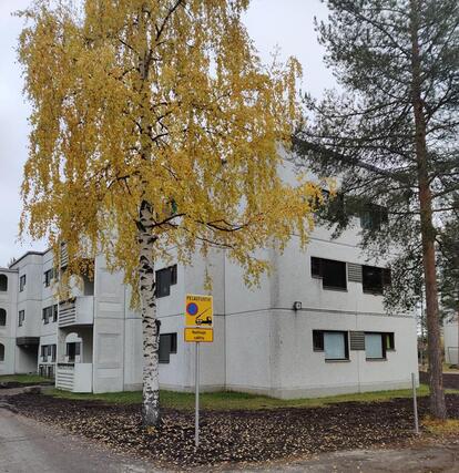 Vuokra-asunto Rovaniemi Ounasmetsä Yksiö