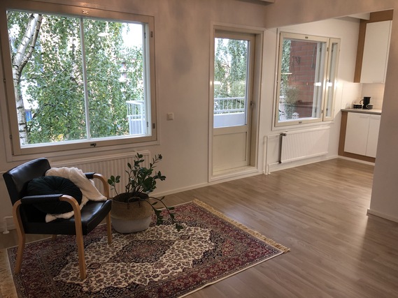 Vuokra-asunto Tampere Haapalinna Yksiö Olohuone