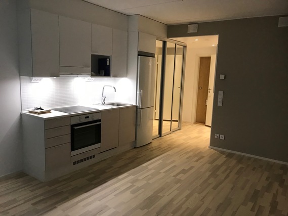 Rental Espoo Tapiola 1 room Asunto kalusteilla - vain kuva esimerkki