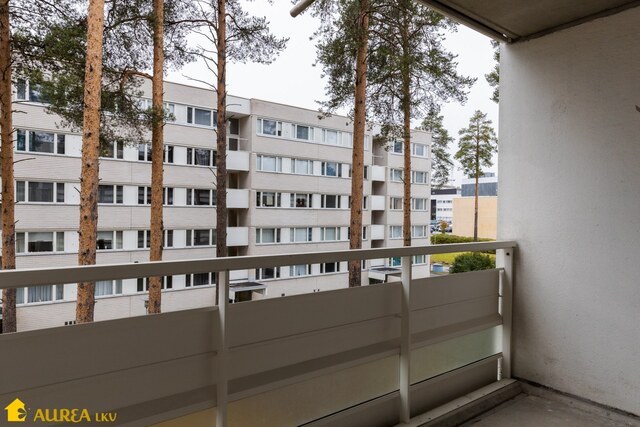 Vuokra-asunto Oulu Kontinkangas 3 huonetta
