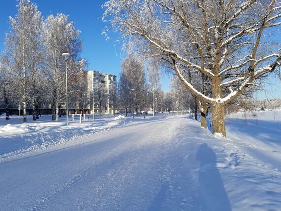 Vuokra-asunto Joensuu Keskusta Yksiö