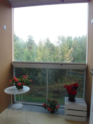 Rental Oulu Alppila 1 room