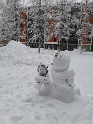 Vuokra-asunto Joensuu Rantakylä Yksiö