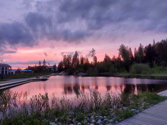 Vuokra-asunto Tampere Vuores Yksiö Vuoreksen keskuspuisto, asunto vasenmalla reunalla