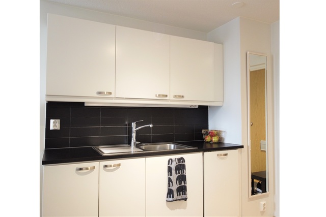 Rental Tampere Hervanta 1 room