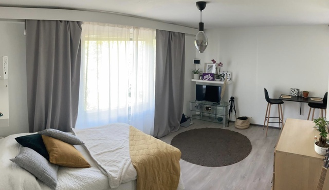 Rental Siilinjärvi Keskusta 1 room