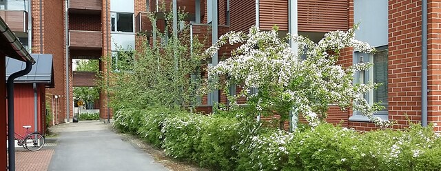 Vuokra-asunto Oulu Toppila Kaksio