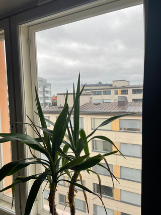 Vuokra-asunto Helsinki Kallio Yksiö Ylin kerros.