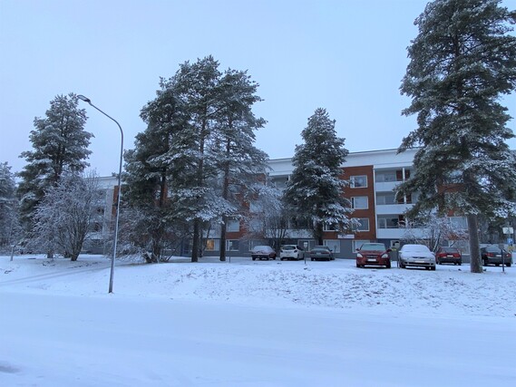 Vuokra-asunto Rovaniemi Korkalovaara Yksiö