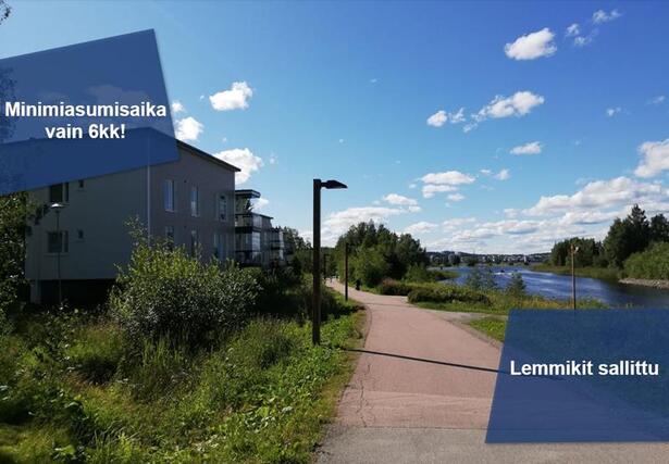 Vuokra-asunto Jyväskylä Kuokkalanpelto Kaksio
