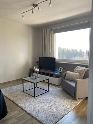 Rental Lappeenranta Kivisalmi 1 room