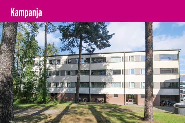 Vuokra-asunto Joensuu Penttilä 5 + Kampanja