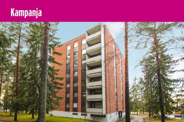 Vuokra-asunto Joensuu Penttilä 3 huonetta Kampanja