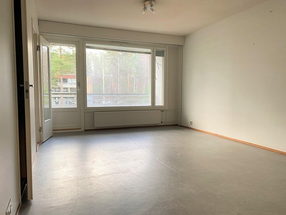 Rental Ruovesi Ritoniemi 1 room Näkymä eteisestä.
