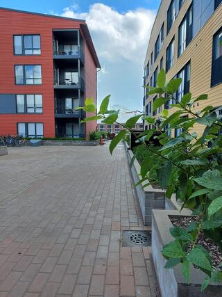 Vuokra-asunto Turku Linnanfältti Yksiö Taloyhtiön piha