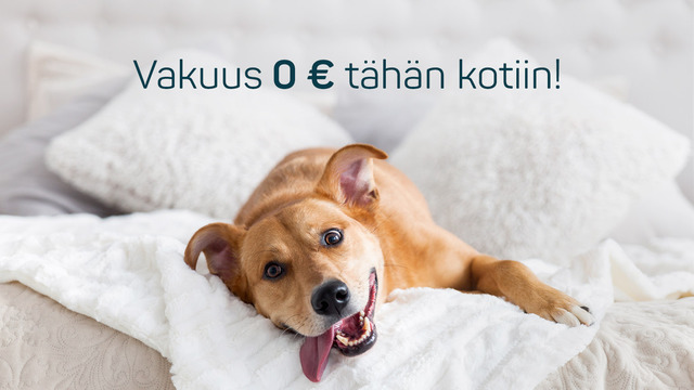 Vuokra-asunto Espoo Espoon keskus Kaksio C 32  Reviisorinkatu 3 C 32