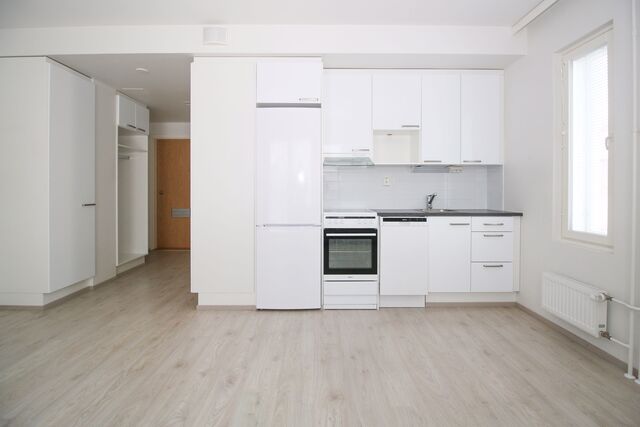 Rental Jyväskylä Keskusta 1 room