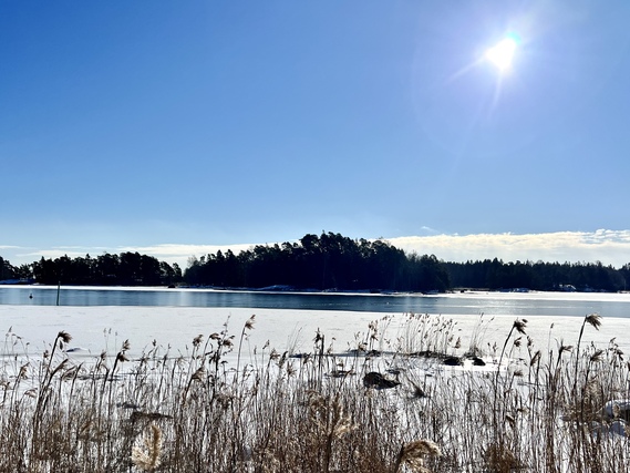 Vuokra-asunto Espoo Nuottaniemi 5 +