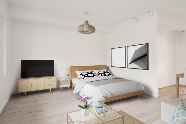 Rental Jyväskylä  1 room Stailattu kuva