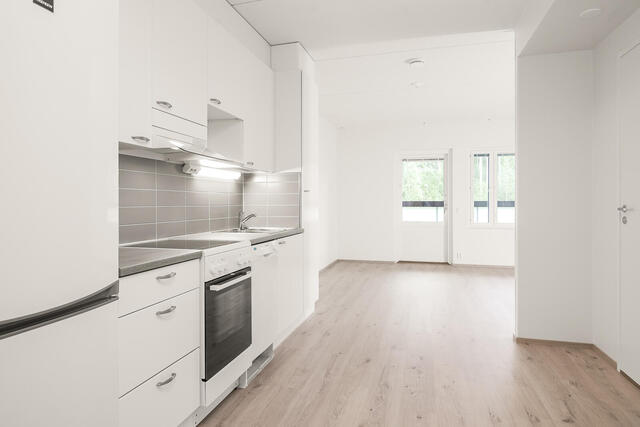 Rental Jyväskylä  1 room Stailattu kuva