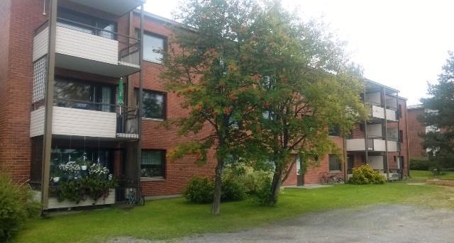 Vuokra-asunto Muurame Keskusta Kaksio