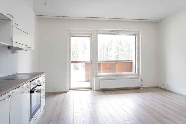 Vuokra-asunto Tampere Hervantajärvi Yksiö Yleiskuva