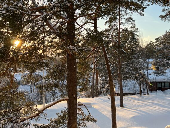 Vuokra-asunto Kauniainen  4 huonetta