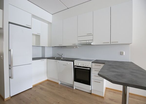 Rental Tampere Epilä 1 room