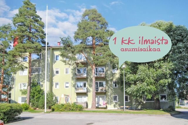 Vuokra-asunto Joensuu Niinivaara Kaksio Kampanja