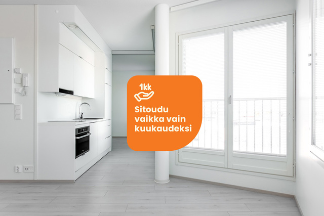 Rental Oulu Toppilansalmi 2 rooms