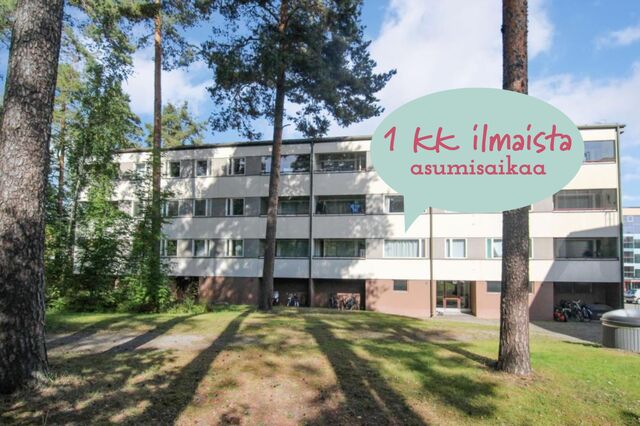 Rental Joensuu Penttilä 2 rooms Kampanja