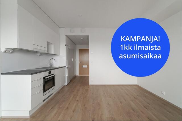Rental Tampere Tammela 1 room