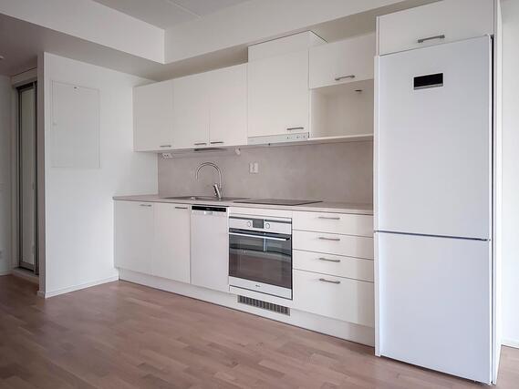 Rental Espoo Nöykkiö 1 room