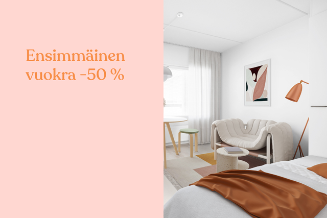 Rental Oulu Toppilansalmi 1 room