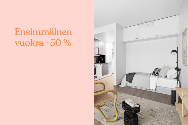 Rental Oulu Toppilansalmi 1 room