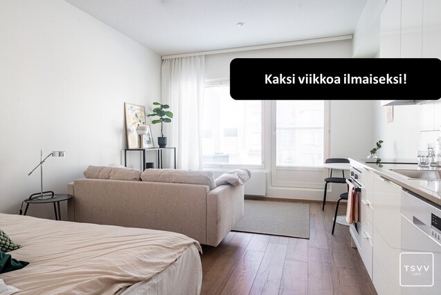 Vuokra-asunto Turku Pukkila Yksiö Yleiskuva