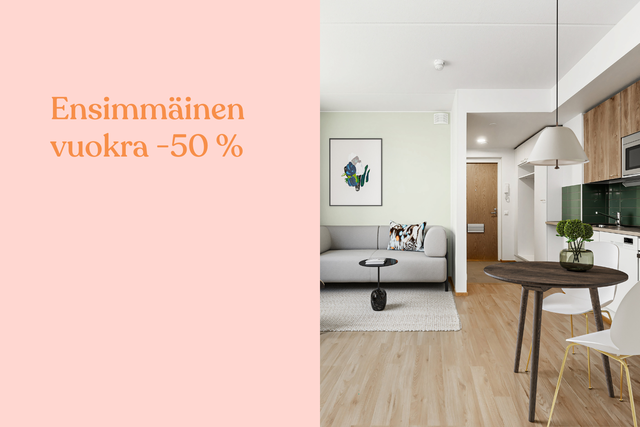 Rental Oulu Toppilansalmi 3 rooms