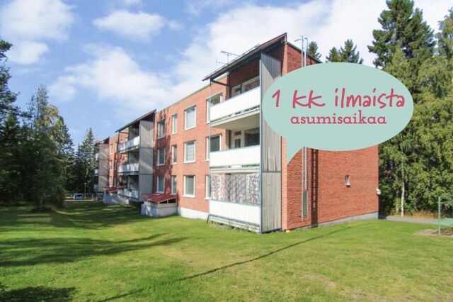 Rental Joensuu Penttilä 4 rooms Kampanja