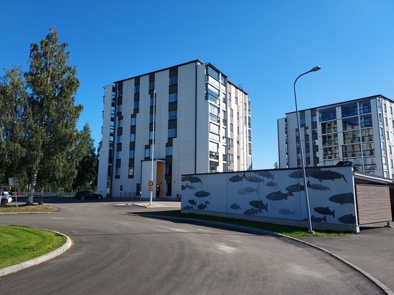 Rental Tornio  1 room