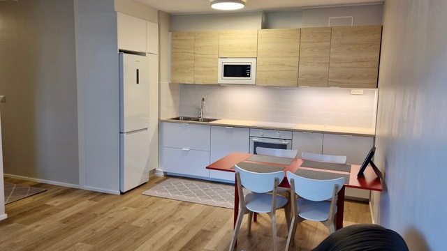 Rental Kuopio Männistö 3 rooms Tupakeittiö