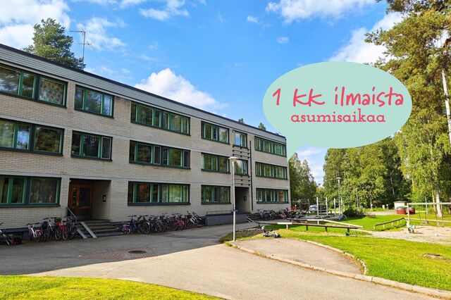 Rental Jyväskylä Lohikoski 3 rooms Kampanjakuva