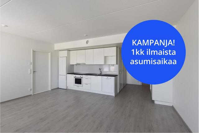 Rental Turku Kirstinpuisto 2 rooms