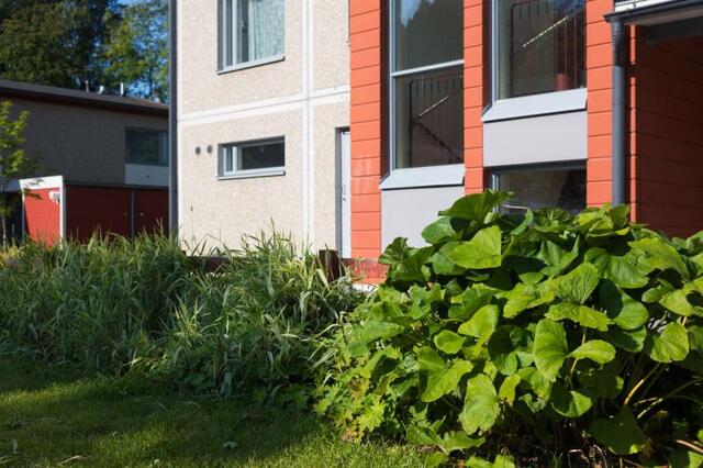 Rental Tampere Tohloppi 3 rooms