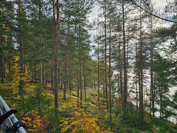 Vuokra-asunto Laukaa Kantola 5 +